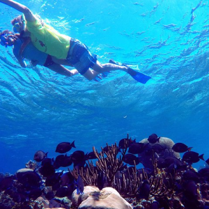 Excursión de día completo a Nápoles, Costa Amalfitana y Pompeya